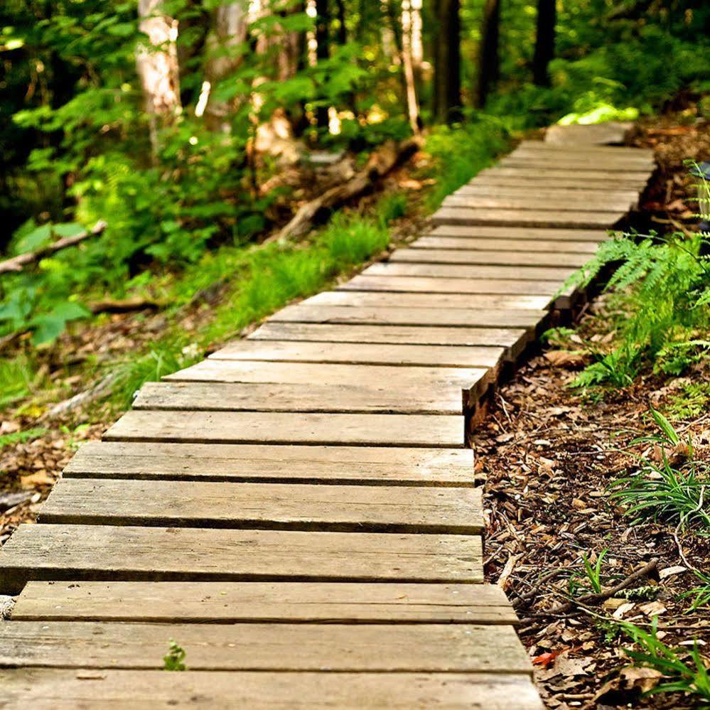 Harmony Outdoor Inn Parry Sound Dış mekan fotoğraf